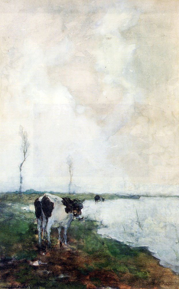 一头牛站在圩田的水边 A Cow Standing By The Waterside In A Polder,扬·亨德里克·魏森布鲁赫