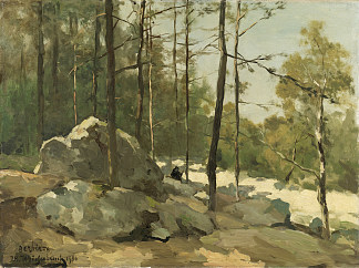 巴比松附近的森林景观 Forest View near Barbizon (1900)，扬·亨德里克·魏森布鲁赫