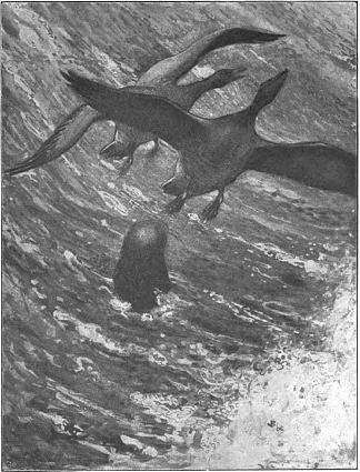 有海豹的危险 I fara för sälar (1906)，约翰·鲍尔
