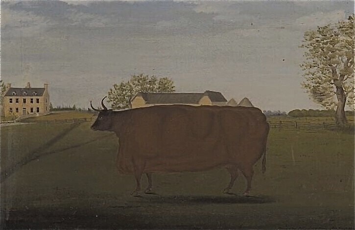 田野里的奖品牛画 Painting of a Prize Cow in a Field (1827)，约翰·布拉德利