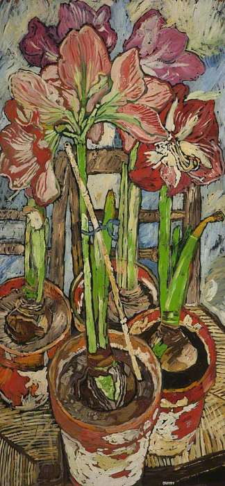 花盆里的四个阿玛丽利斯 Four Amaryllis in Pots (1963)，约翰·布拉特比