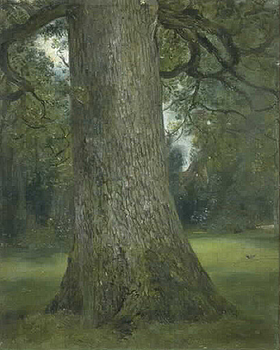榆树树干研究 Study of the Trunk of an Elm Tree (1821)，约翰·康斯特布尔