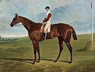 危险，1833年埃普索姆德比冠军 Dangerous, Winner of the 1833 Epsom Derby (1833)，老约翰·弗雷德里克·赫林