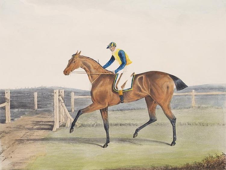 英国赛马公爵夫人 British Racehorse the Duchess (c.1816)，老约翰·弗雷德里克·赫林