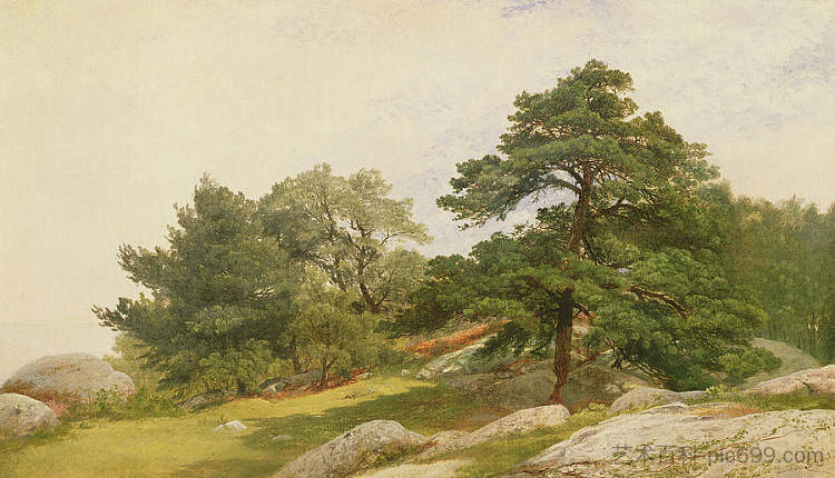 研究比佛利海岸的树木 Study for Trees on Beverly Coast,约翰·冯检基·肯西特