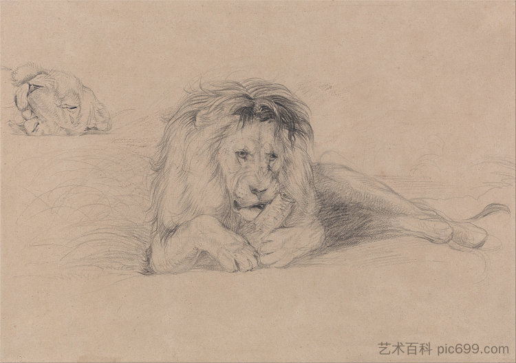 狮子的研究和母狮头的研究 Study of a Lion and Study of a Lioness' Head (c.1820)，约翰·弗雷德里克·刘易斯