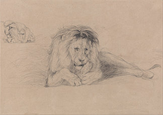 狮子的研究和母狮头的研究 Study of a Lion and Study of a Lioness’ Head (c.1820)，约翰·弗雷德里克·刘易斯