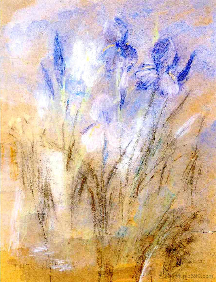 虹膜 Irises (c.1894 - c.1896)，约翰·亨利·特瓦克特曼