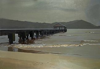 哈纳雷湾 Hanalei Bay (1989)，约翰注册