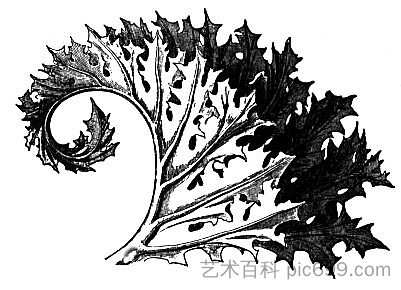 老鼠 Acanthus，约翰·罗斯金