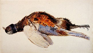 死野鸡 Dead Pheasant (1867)，约翰·罗斯金