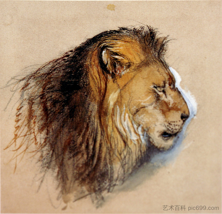 狮子的人生简介 Lion's profile from life (1870)，约翰·罗斯金