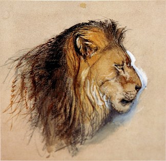 狮子的人生简介 Lion’s profile from life (1870)，约翰·罗斯金