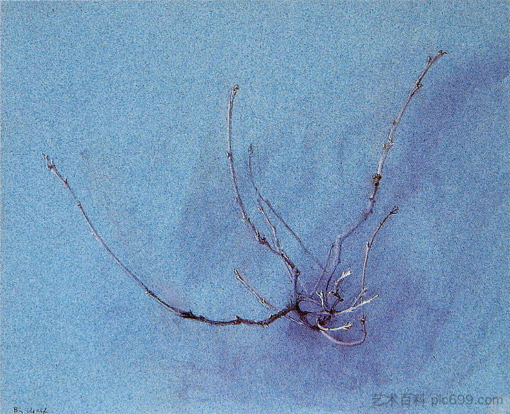 冬季橡木喷雾 Oak Spray in Winter (1860)，约翰·罗斯金