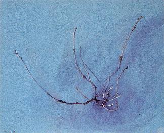 冬季橡木喷雾 Oak Spray in Winter (1860)，约翰·罗斯金