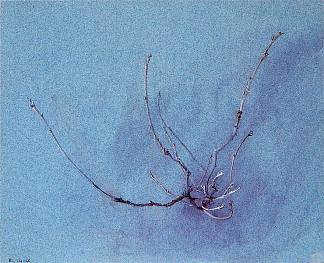 冬季橡木喷雾 Oak Spray in Winter (1860)，约翰·罗斯金