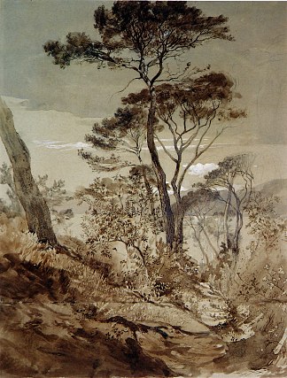 塞斯特里的石松 Stone Pines at Sestri (1845)，约翰·罗斯金