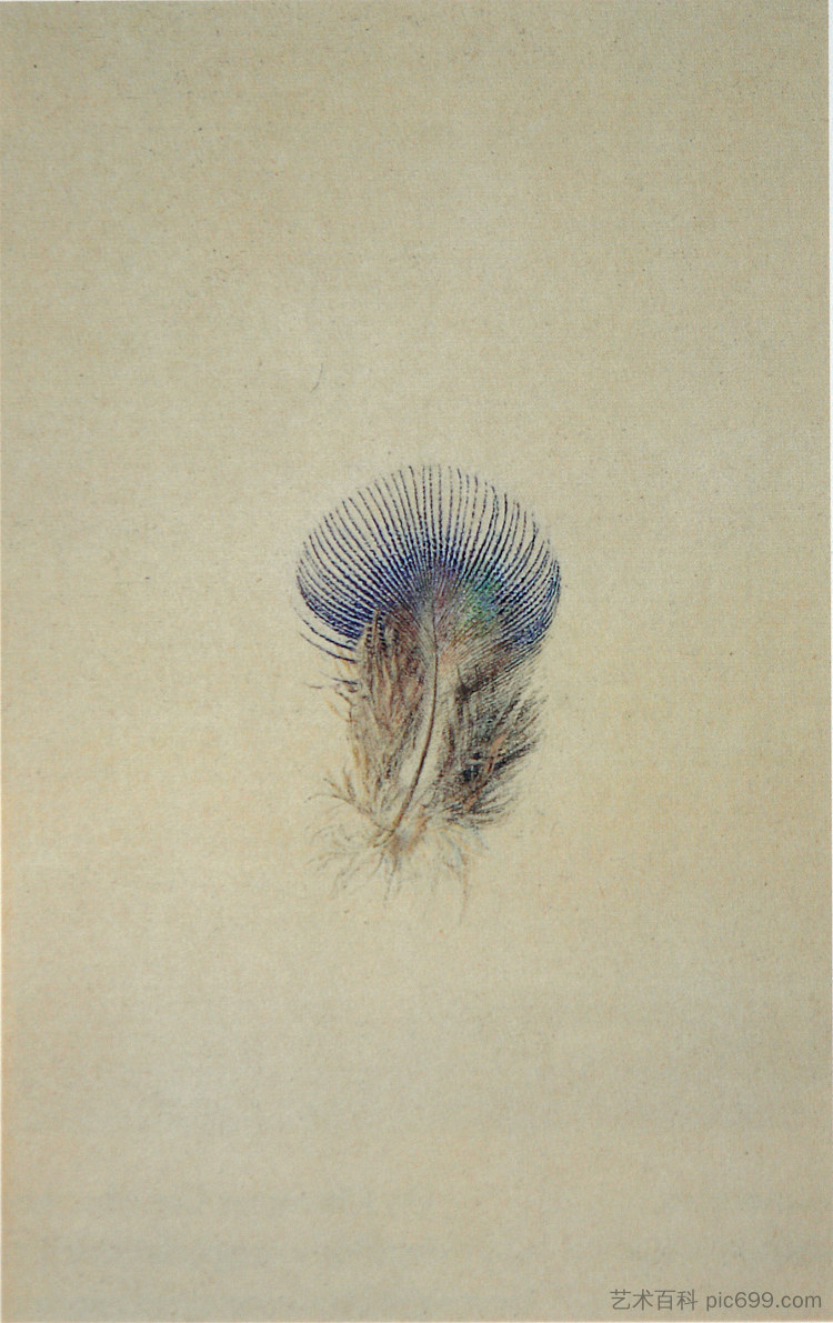 孔雀胸羽的研究 Study of a Peacock's Breast Feather (1875)，约翰·罗斯金