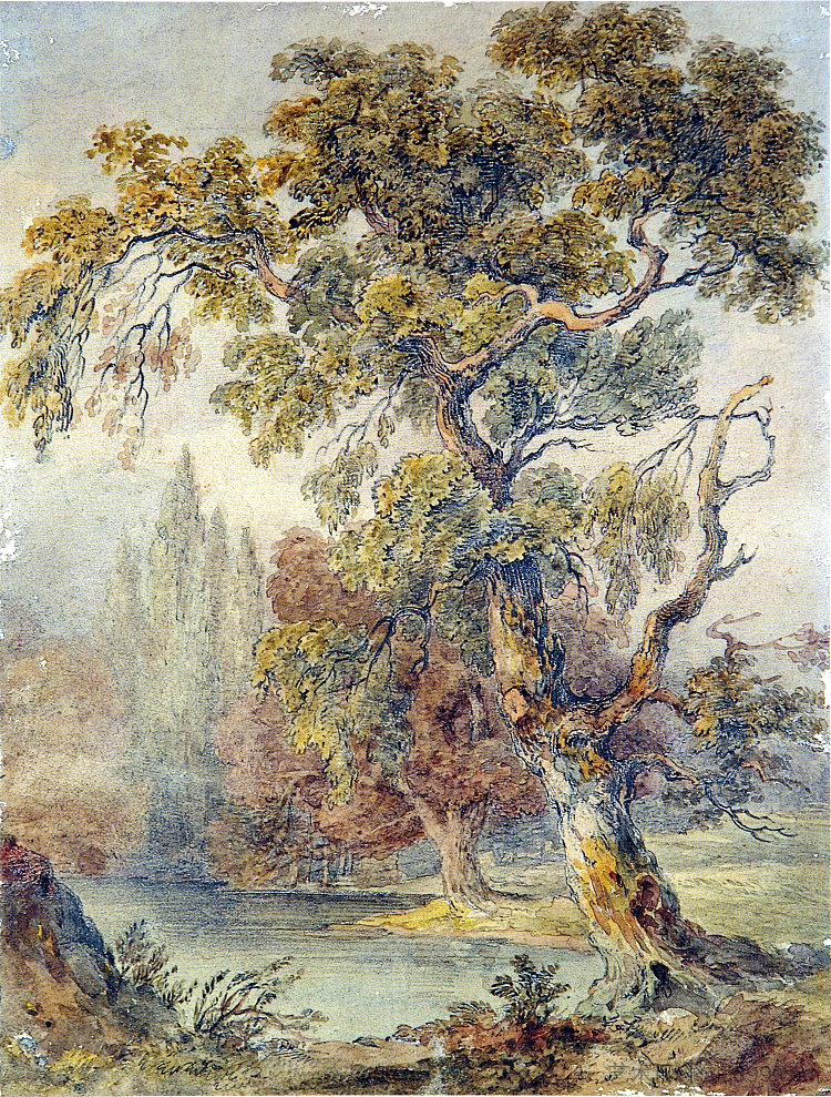 树木和池塘 Trees and Pond (1832)，约翰·罗斯金