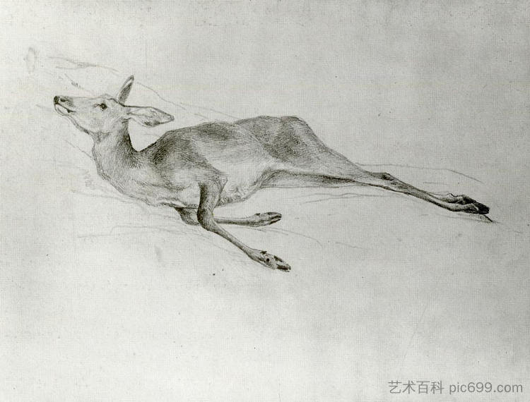 鹿 Deer (c.1872)，约翰·辛格·萨金特