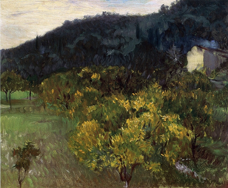 格拉斯附近的景观 Landscape near Grasse (c.1883 - c.1884)，约翰·辛格·萨金特