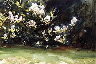 木兰 Magnolias (1912)，约翰·辛格·萨金特