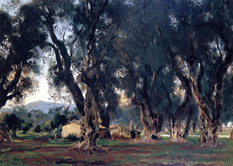 科孚岛的橄榄树 Olive Trees at Corfu (1909)，约翰·辛格·萨金特