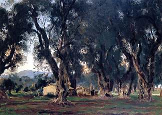 科孚岛的橄榄树 Olive Trees at Corfu (1909)，约翰·辛格·萨金特