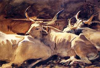 牛在休息 Oxen in Repose (c.1910)，约翰·辛格·萨金特