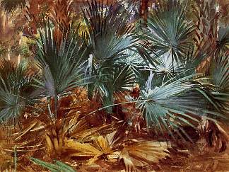 棕榈树 Palmettos (1917)，约翰·辛格·萨金特