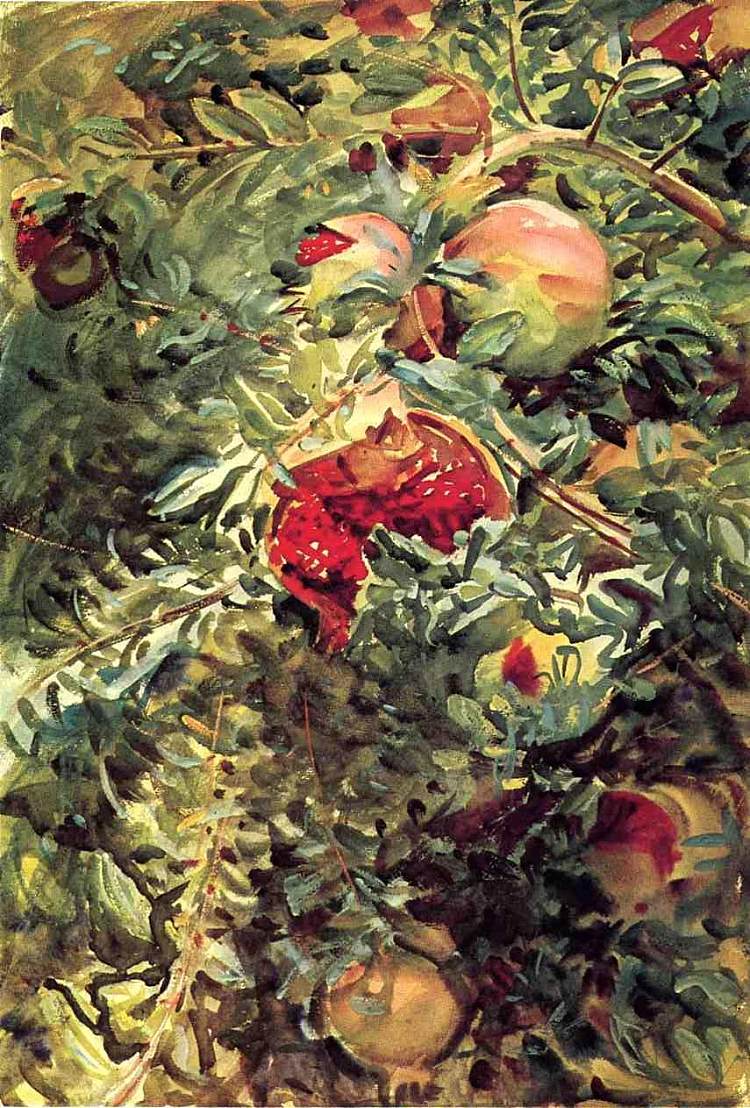 石榴 Pomegranates (1908)，约翰·辛格·萨金特