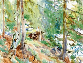 瓦尔达奥斯塔，普尔图德 Val D’Aosta, Purtud (1909)，约翰·辛格·萨金特