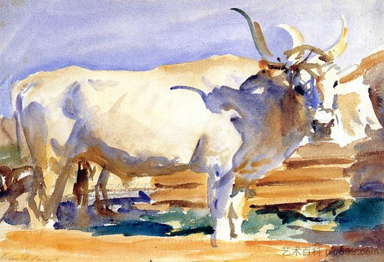 锡耶纳的白牛 White Ox at Siena (c.1910)，约翰·辛格·萨金特