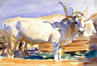 锡耶纳的白牛 White Ox at Siena (c.1910)，约翰·辛格·萨金特