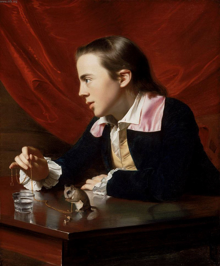 男孩与松鼠(亨利·佩勒姆) Boy with Squirrel (Henry Pelham) (1765),约翰·辛格顿·科普利