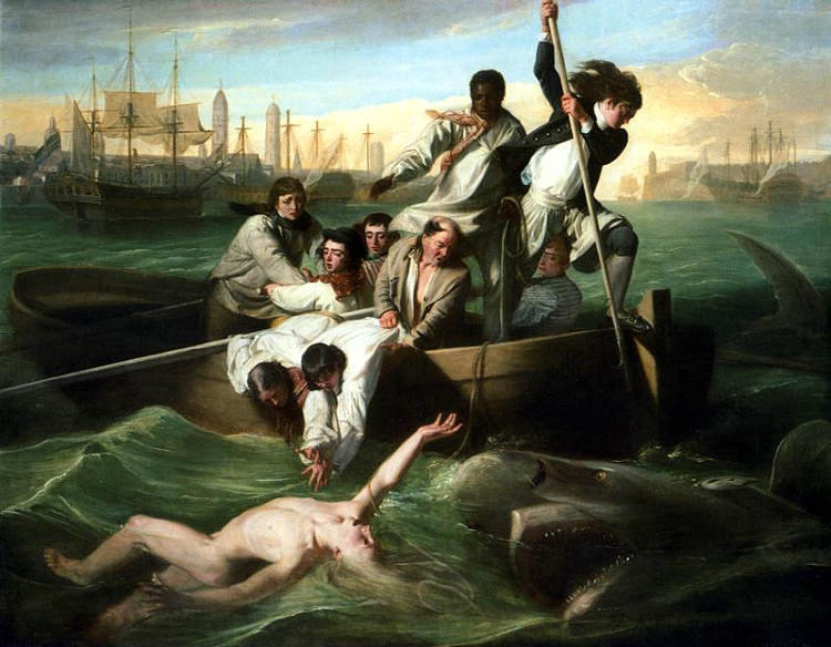 沃森与鲨鱼 Watson and the Shark (1782)，约翰·辛格顿·科普利