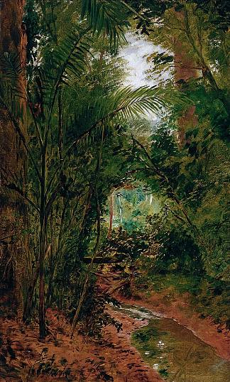 里约达斯佩德拉斯的景观 Landscape at the Rio das Pedras (1889)，若塞·费尔拉兹·德·阿尔梅达·茹尼奥尔