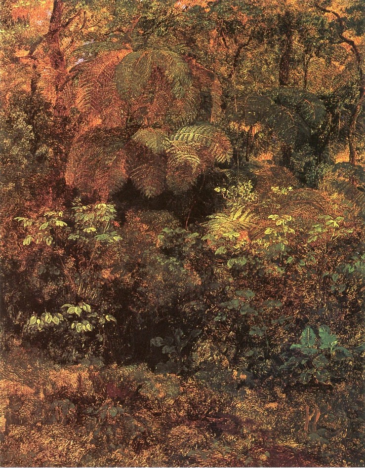 帕乔森林 Bosque de Pacho (1875)，若泽玛丽亚维拉斯科
