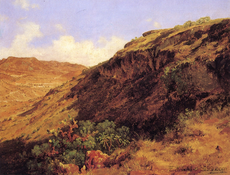 塞罗德格雷罗的西坡 Ladera occidental del cerro de Guerrero (1876)，若泽玛丽亚维拉斯科