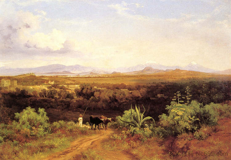 从塔库巴亚山丘上的墨西哥谷 Valle de México desde las lomas de Tacubaya (1876)，若泽玛丽亚维拉斯科