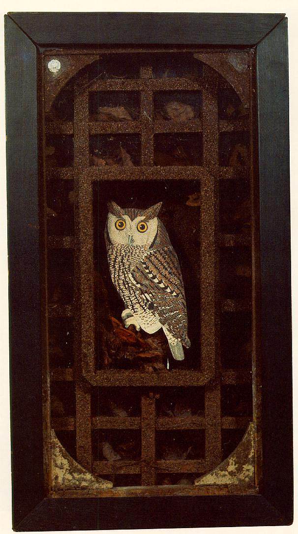 无题（大猫头鹰栖息地） Untitled (Grand Owl Habitat) (1946)，约瑟夫·康奈尔