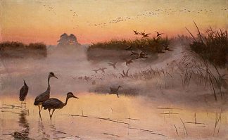 黎明。鸟之国 Dawn. The Kingdom of Birds (1906)，约瑟夫·切尔蒙斯基