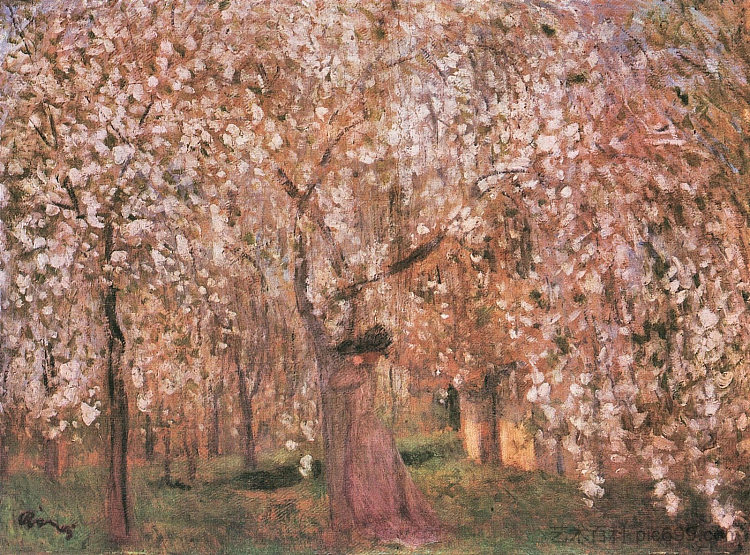 樱花 Cherry tree blossoms，约瑟夫立普罗奈