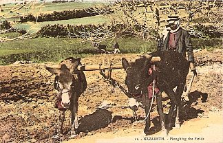 耕田，拿撒勒 Ploughing the Field, Nazareth (c.1920; Palestinian Territory                     )，卡里梅·阿布德