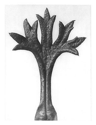 自然界中的艺术形式 35 Art Forms in Nature 35 (1928)，卡尔·布洛斯费尔特