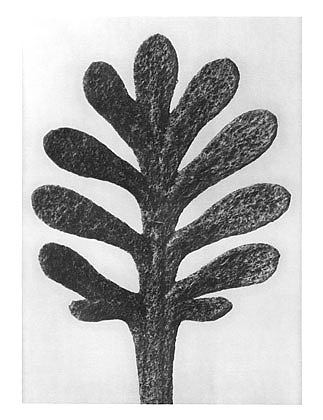 自然界中的艺术形式 37 Art Forms in Nature 37 (1928)，卡尔·布洛斯费尔特