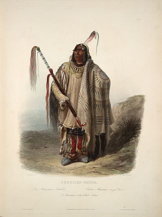米纳塔尔或大腹便的印第安人，《北美内陆游记》第 2 卷中的第 17 版 A Minatarre or Big bellied indian, plate 17 from Volume 2 of ‘Travels in the Interior of North America’ (1843; United States                     )，卡尔博德默