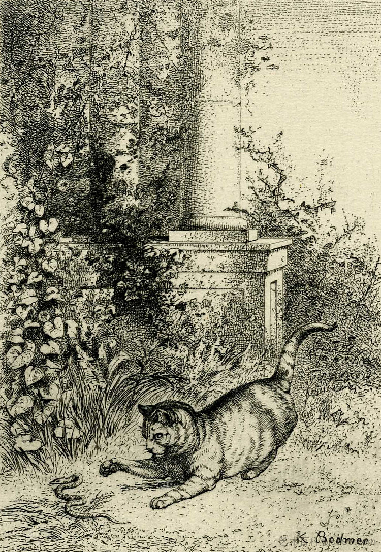 猫在玩加法器 Cat playing with an adder (c.1873)，卡尔博德默