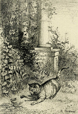 猫在玩加法器 Cat playing with an adder (c.1873)，卡尔博德默