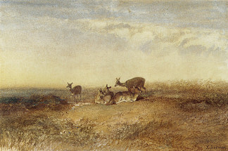 风景中的鹿 Deer in a Landscape，卡尔博德默